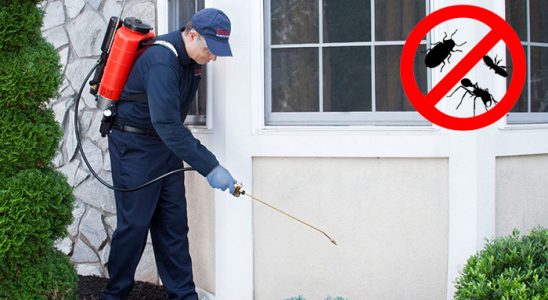 Çiçekdağı Akrep İlaçlama böcek ilaçlama ve haşere kontrolü — ilaclama-tr.com